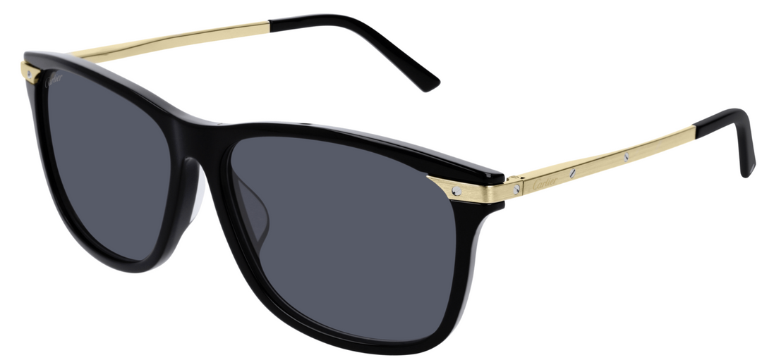 CARTIER CT0104SA-001