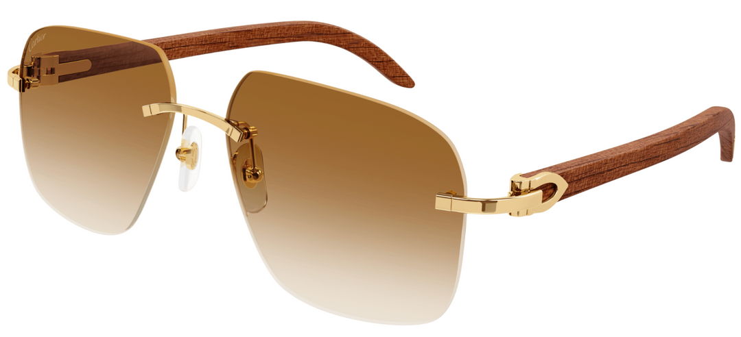 CARTIER CT0041RS-001
