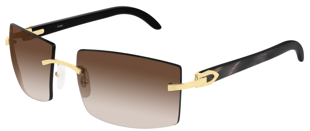CARTIER CT0021RS-001