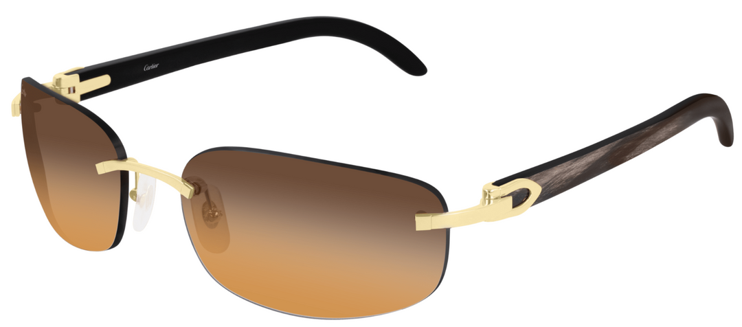 CARTIER CT0020RS-001
