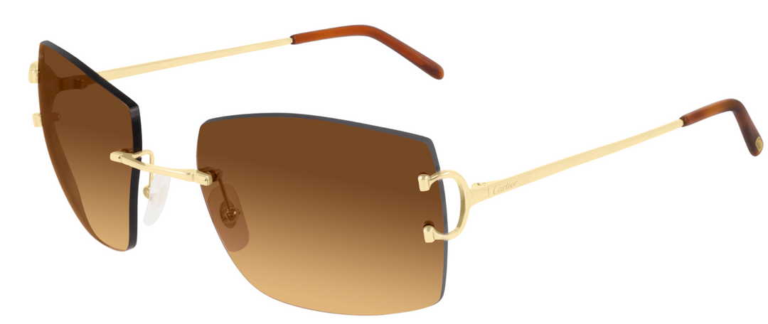 CARTIER CT0009RS-001