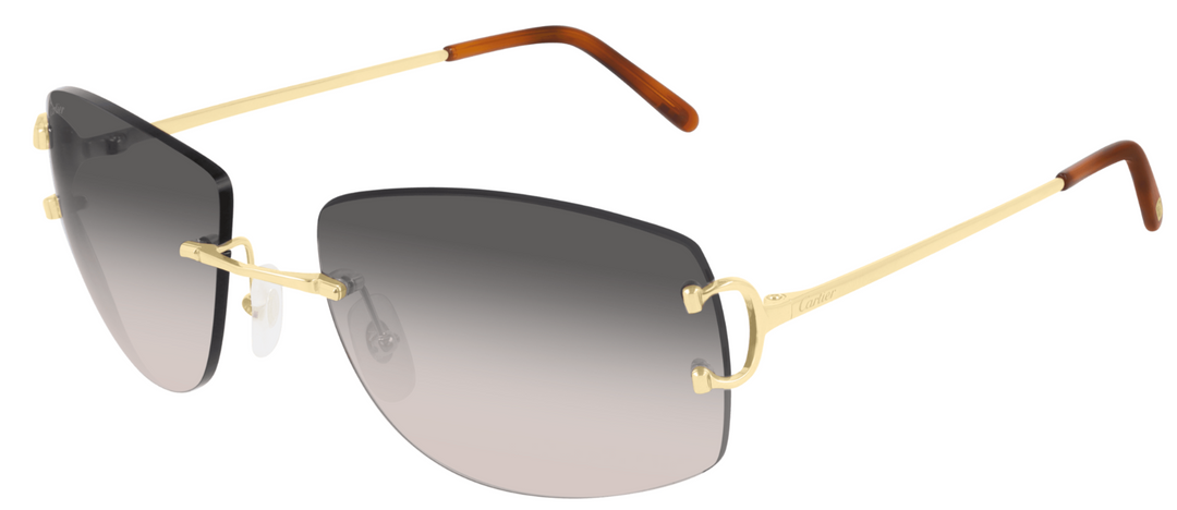 CARTIER CT0008RS-001