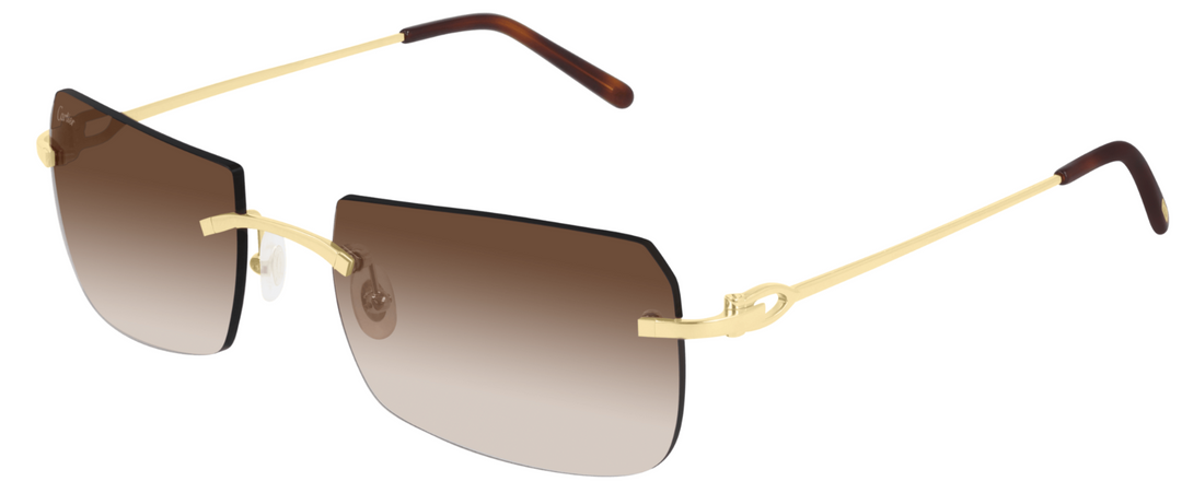 CARTIER CT0006RS-001