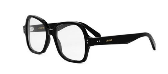 CELINE CL50148I