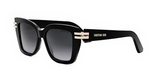 DIOR CDIOR S1I