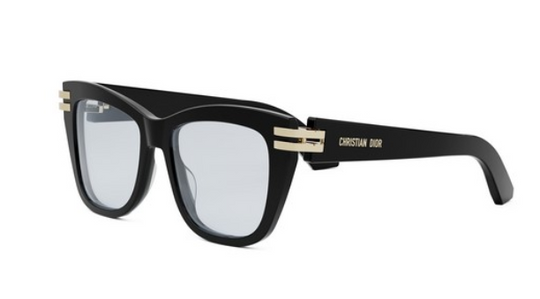 DIOR CDIORO S1I