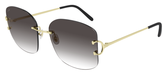 CARTIER CT0037RS-001