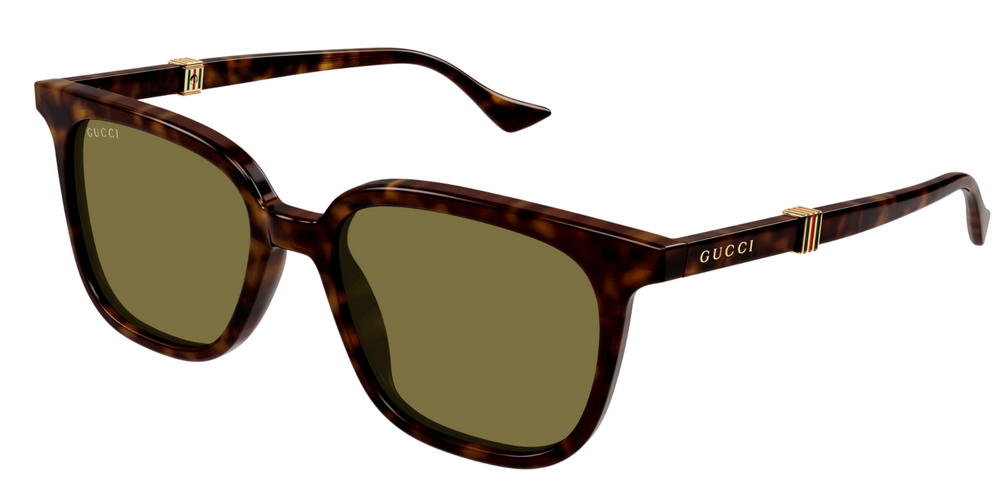 GUCCI GG1493S-001