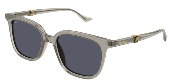 GUCCI GG1493S-001