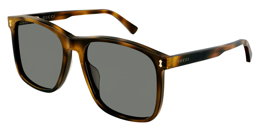 GUCCI GG1041S-001