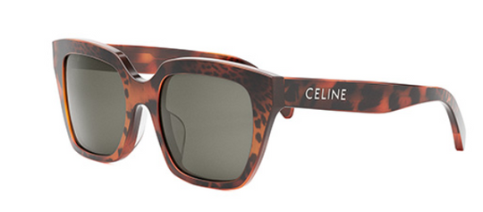 CELINE CL40198F