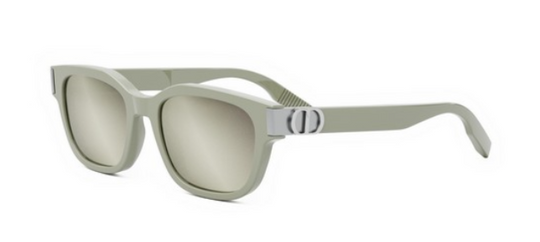 DIOR CD ICON S1F